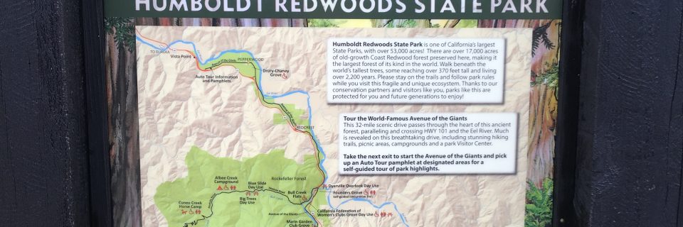 Humboldt Redwoods State Park